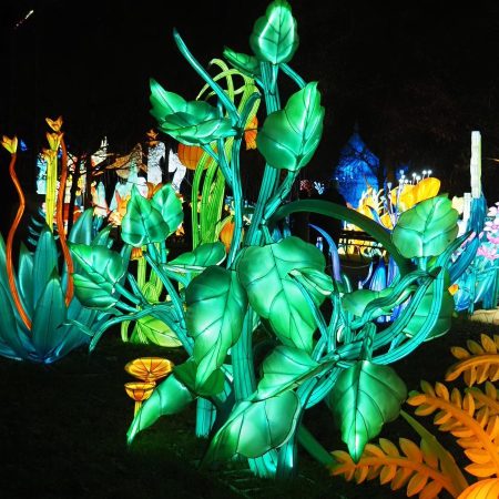 Winter lichtfestival in Jardin d'Acclimatation | 2024